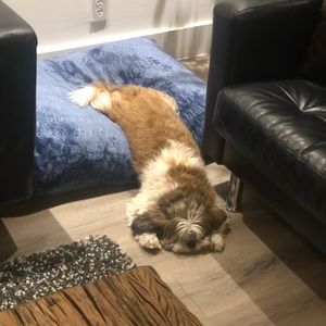 Meet your Posher, Maria